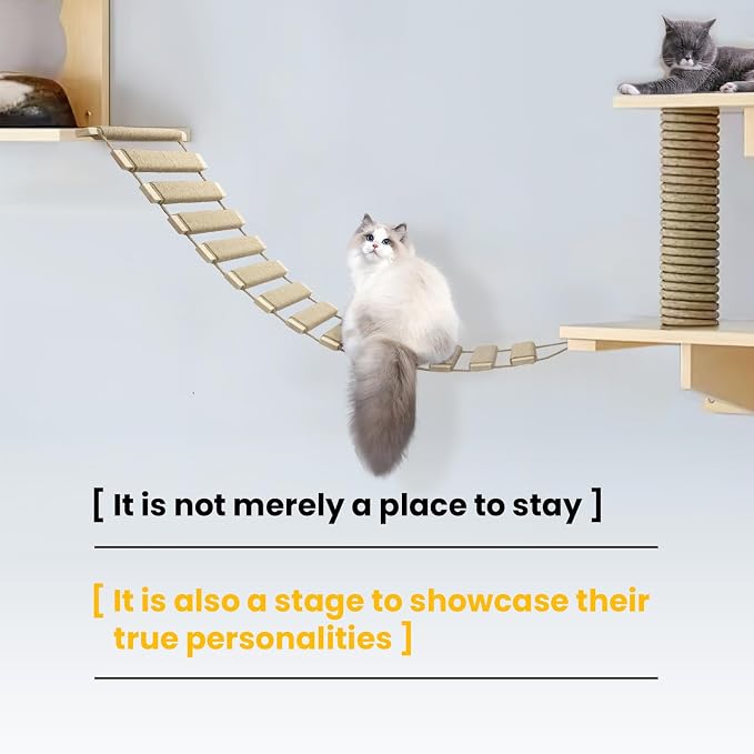 40in Cat Ladder & Bridge, Outdoor Cat Tree - Image 5
