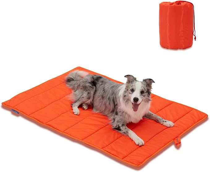 BDEUS 43x25In Large Size Outdoor Dog Bed, Waterproof & Portable Camping Travel by BDEUS