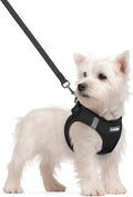 rabbitgoo Dog Harness Small Sized and Leash Set, Step in Soft Light Puppy Vest by rabbitgoo