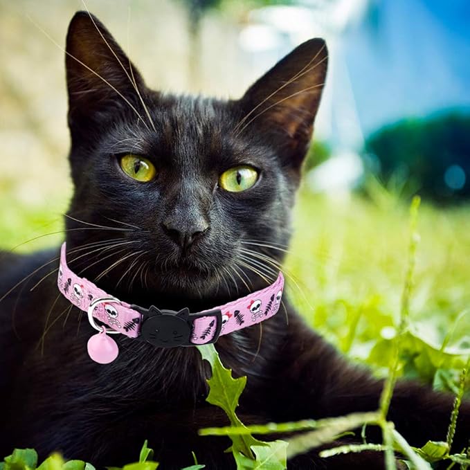 BoomBone Skull Cat Collar Breakaway - Image 4