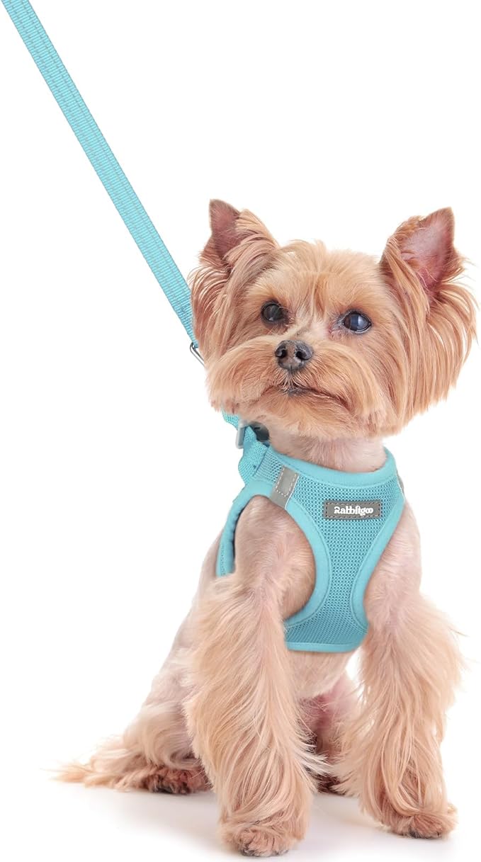 rabbitgoo Dog Harness Small Sized and Leash Set, Step in Soft Light Puppy Vest by rabbitgoo