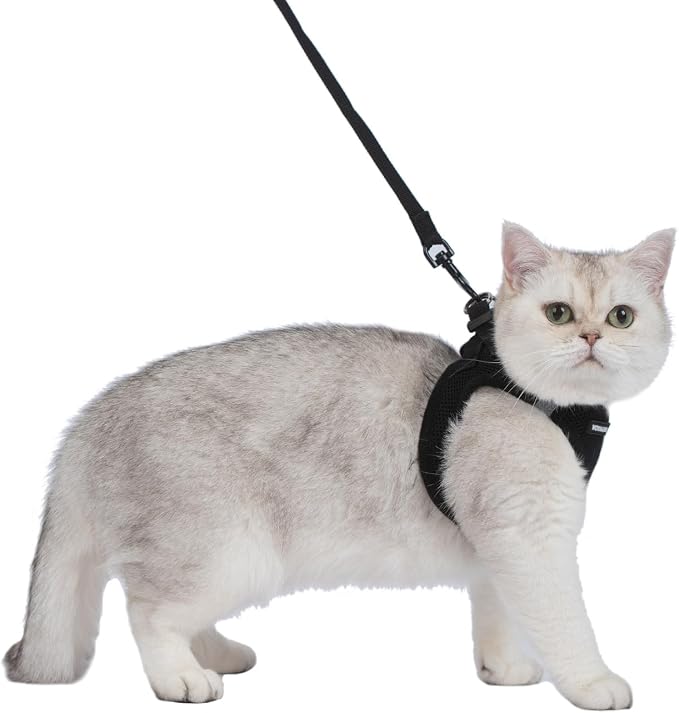 Voyager Step-in Pet Harness - Image 2