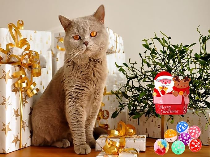 25 Pack Christmas Cat Toy, Kitten Toy Bag Set Assorted - Image 2