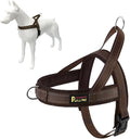 Plutus Pet No Pull Dog Harness by PLUTUSPET