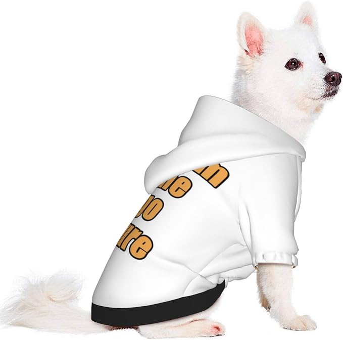 Customized Hoodie for Small Cats Add Your Design Photo Text Logo Custom Dog - Image 3