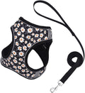 Step in Dog Harness and Leash Set, Flower Adjustable Easy Walk Puppy Harnesses by Flymind