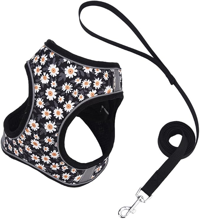 Step in Dog Harness and Leash Set, Flower Adjustable Easy Walk Puppy Harnesses by Flymind