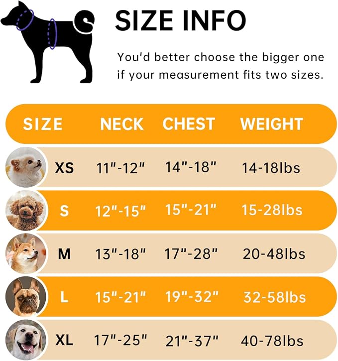IVY&LANE No Pull Dog Harness for Medium Dogs, Dog Vest Harness - Image 2