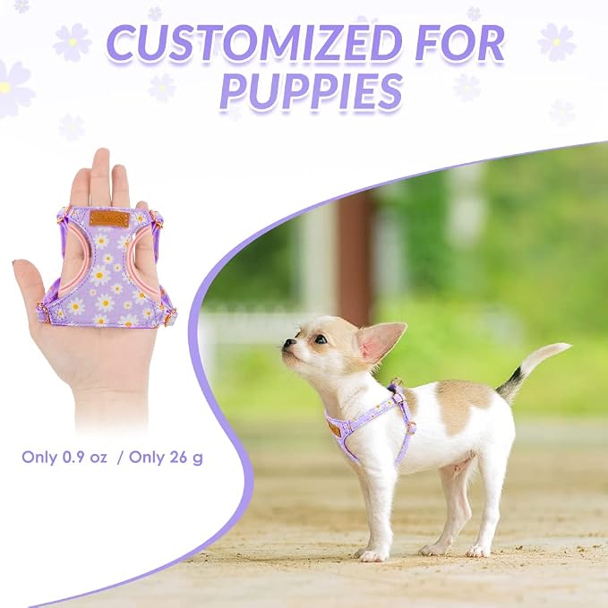 SlowTon Dog Harness Small Sized Dog - Image 2