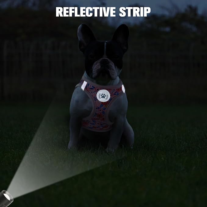 BEAUTYZOO Step in Dog Harness and Leash Set, Floral Pattern Reflective Dog - Image 8