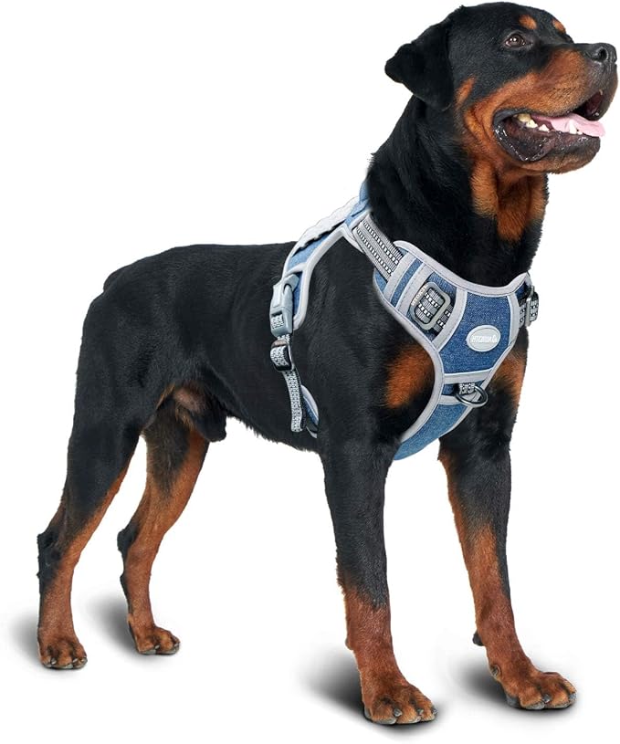 AUROTH Tactical Dog Harness for Small Medium Dogs No Pull Adjustable Pet - Image 6