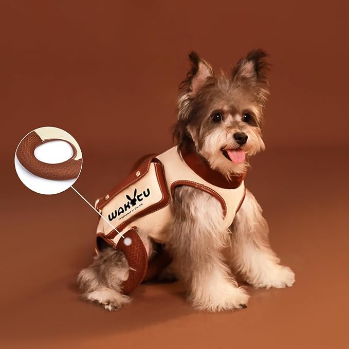 Dog Lift Harness Dog Carrier VES Harness Adjustable Leash - Image 4