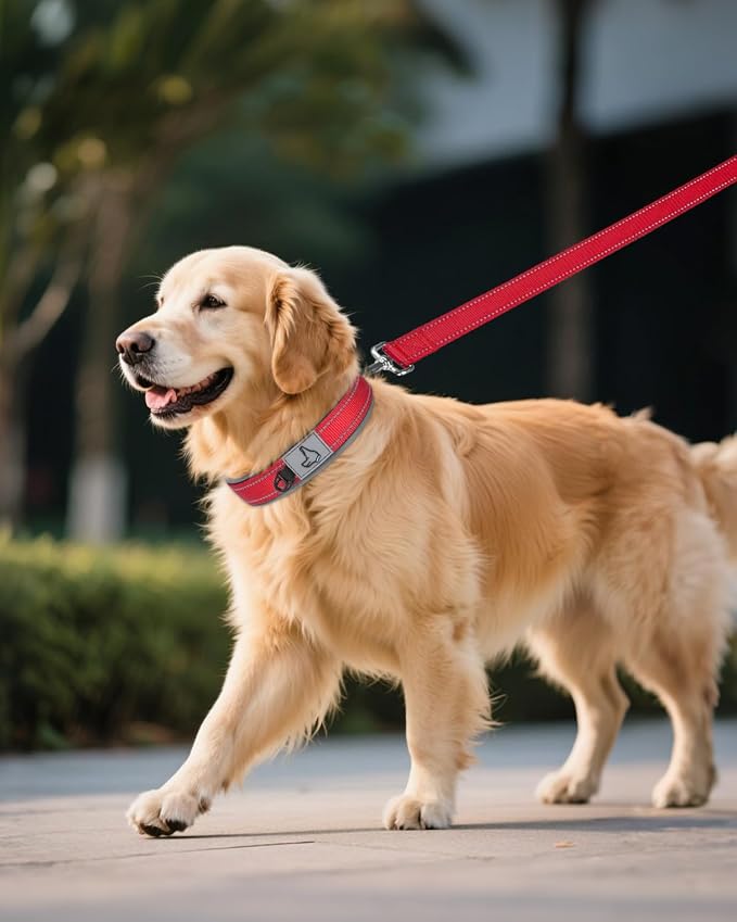 Joytale Dog Collar for Extra Large Dogs, Neoprene Padded and Adjustable - Image 6