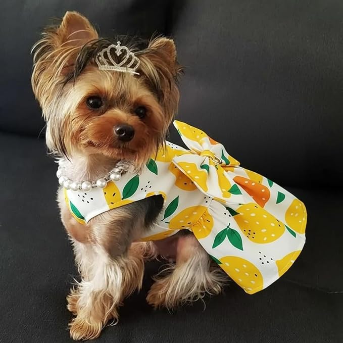 Dog Dress Bowknot Harness Leash Set - Image 2