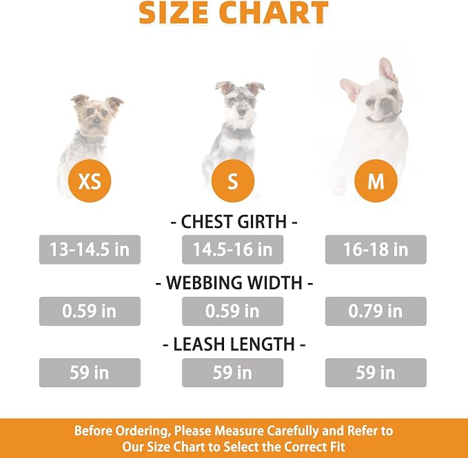 KOOLTAIL Small Dog Harness and Leash Set, Cute Puppy Harness, Step in No Pull - Image 2