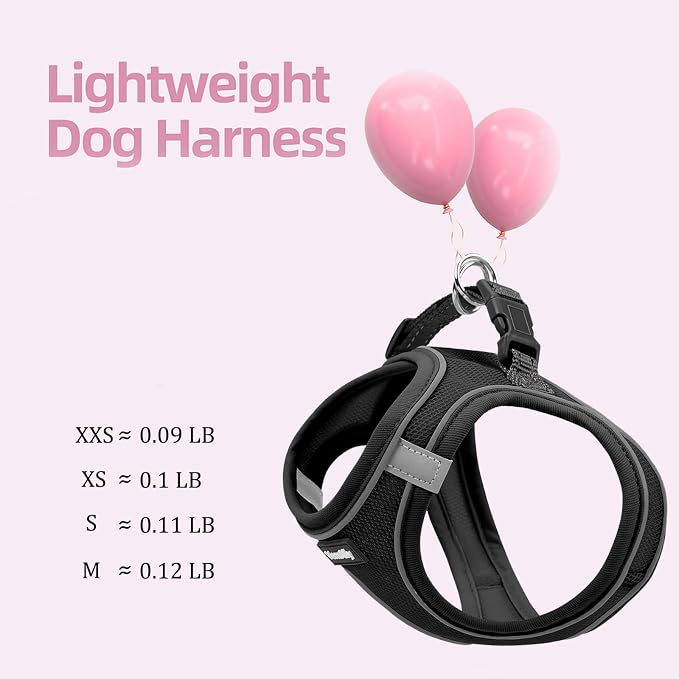 Sparkly Dog Harness Small Sized and Leash Set - Image 4