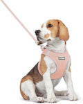 rabbitgoo Dog Harness Small Medium Sized and Leash Set, Step in Soft Light by rabbitgoo