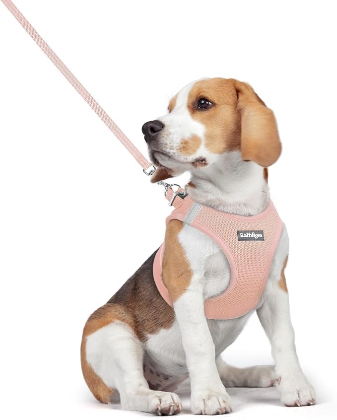 rabbitgoo Dog Harness Small Medium Sized and Leash Set, Step in Soft Light by rabbitgoo