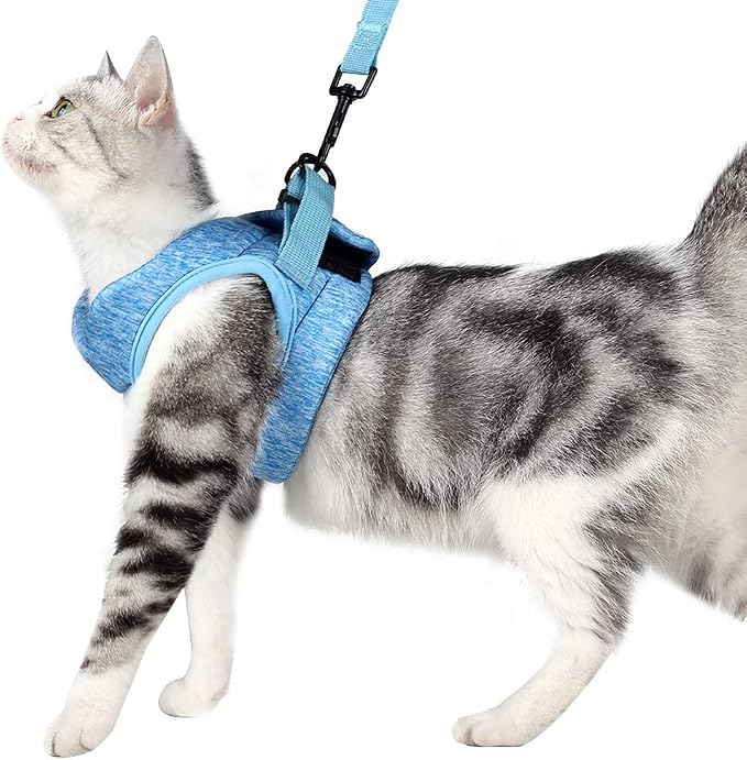 HEYWEAN Cat Harness and Leash by HeyweanPleaseFollowMeForMoreNews