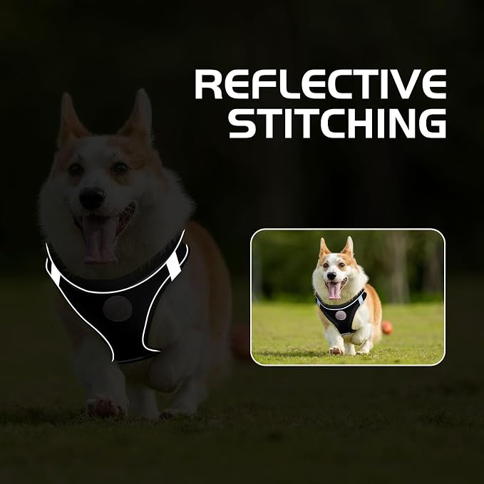 Soft Mesh Dog Harness and Leash Set, No Pull Puppy Harness and Leash Set - Image 6