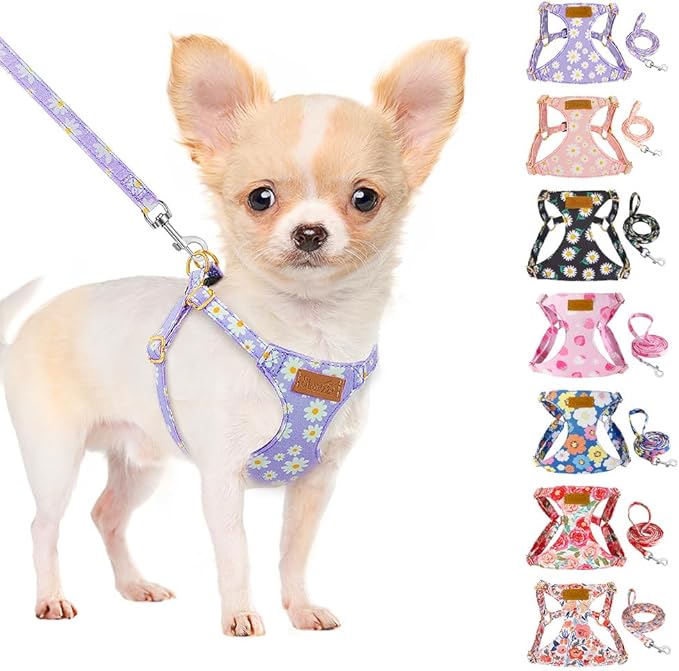 SlowTon Dog Harness Small Sized Dog by SlowTon