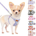 SlowTon Dog Harness Small Sized Dog by SlowTon