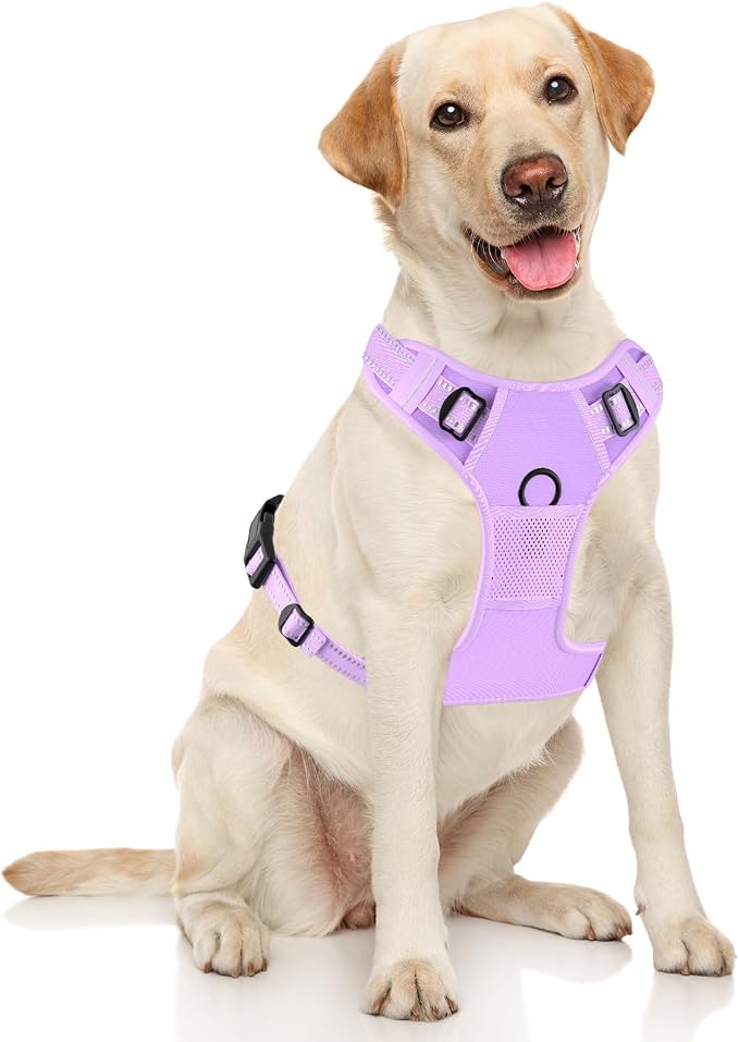 Rnivvi No Pull Dog Harness, Cute Reflective Medium Sized Puppy Kitten Harness - Image 2