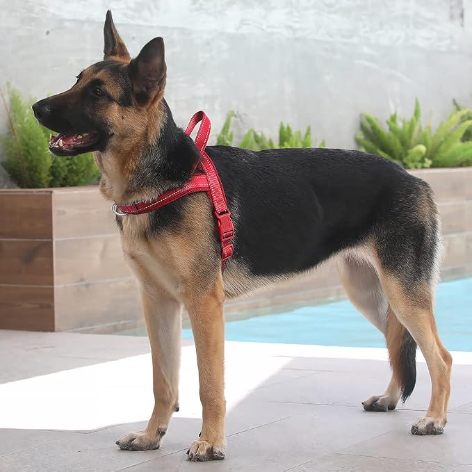 Plutus Pet No Pull Dog Harness - Image 5