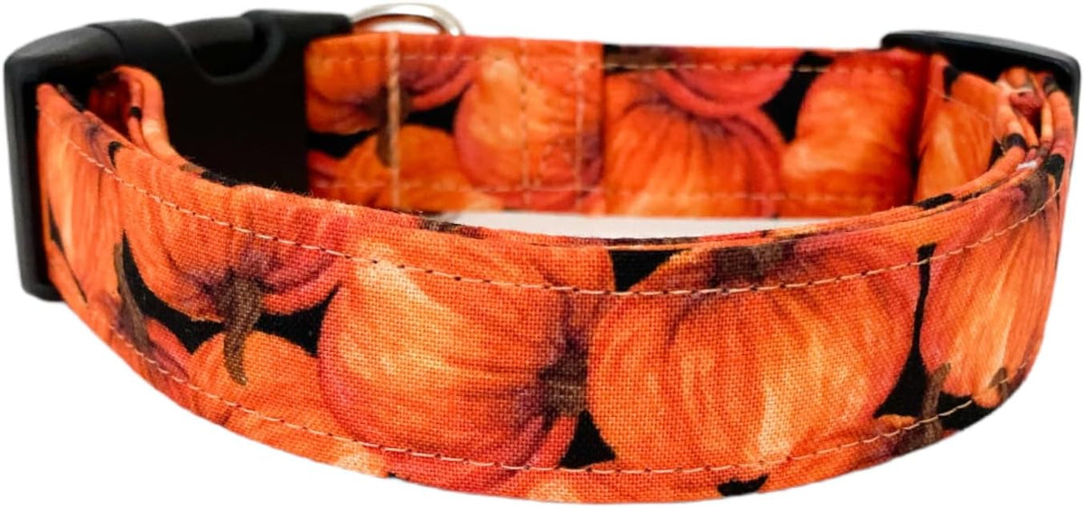 Orange Pumpkins Dog Collar - Image 2