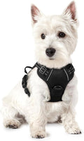 rabbitgoo Dog Harness No Pull by rabbitgoo