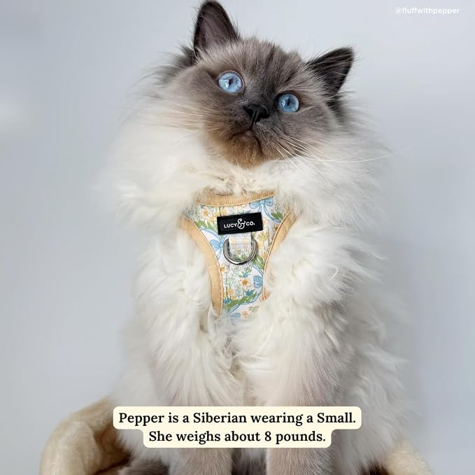 Lucy & Co. Sunshine and Daffodils Step-in Cat Harness and Leash Set Bundle - Image 8