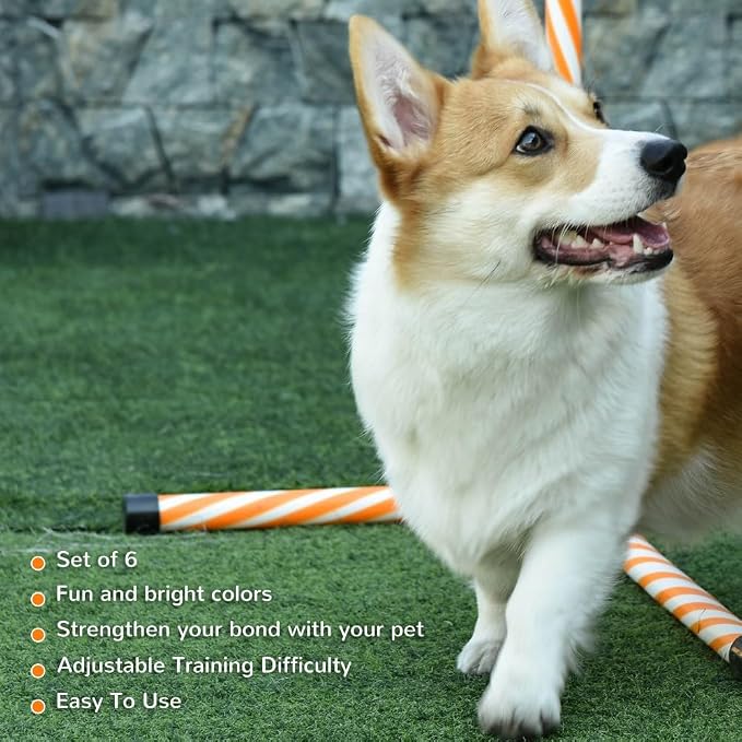 6 Piece Dog Agility Training Equipment - Image 5