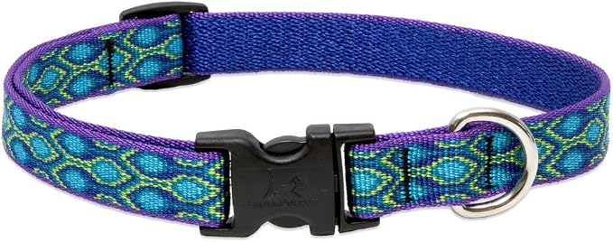 LupinePet Originals 3/4" Rain Song 13-22" Adjustable Collar by LupinePet