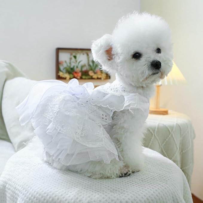 Fashion Sweet Puppy Dog Blingbling Princess Skirt Pet Dog Lace Cake Camisole - Image 5
