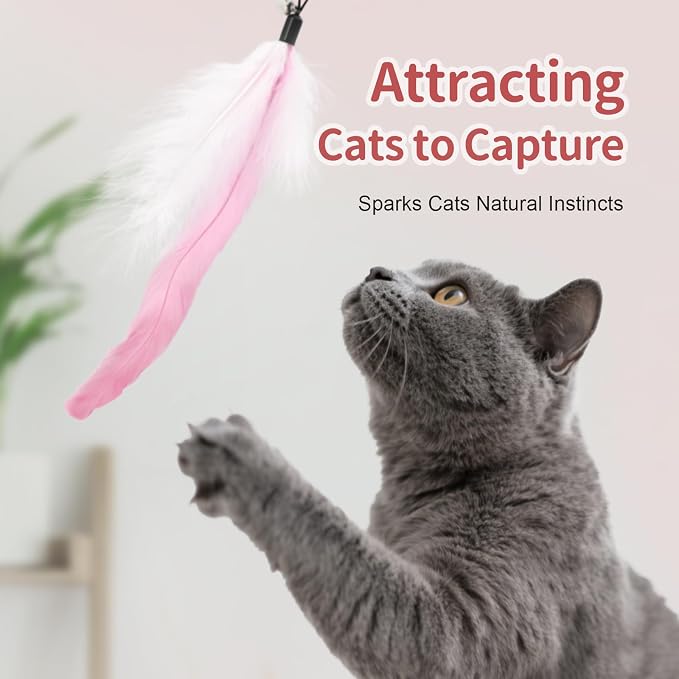 SONGWAY Cat Wand Toys for Indoor Cats - Image 5
