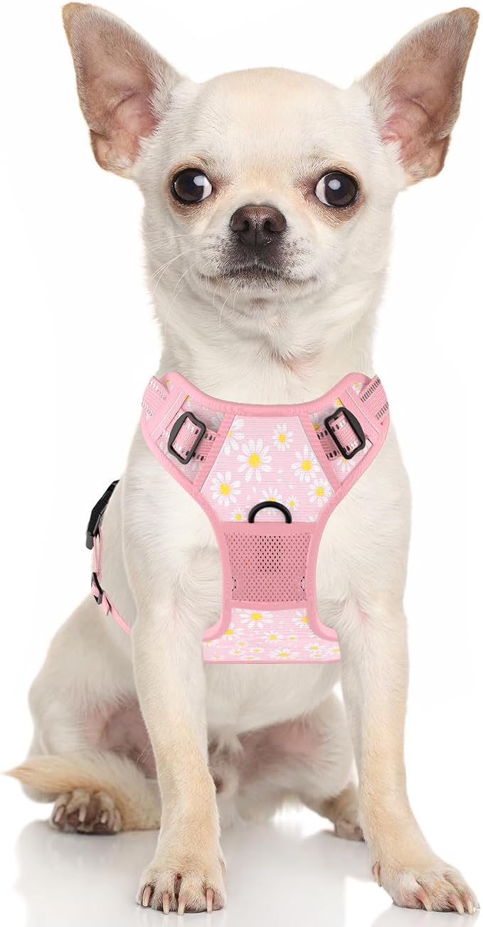 Rnivvi No Pull Dog Harness, Cute Flower Reflective Small Sized Puppy Harness - Image 2