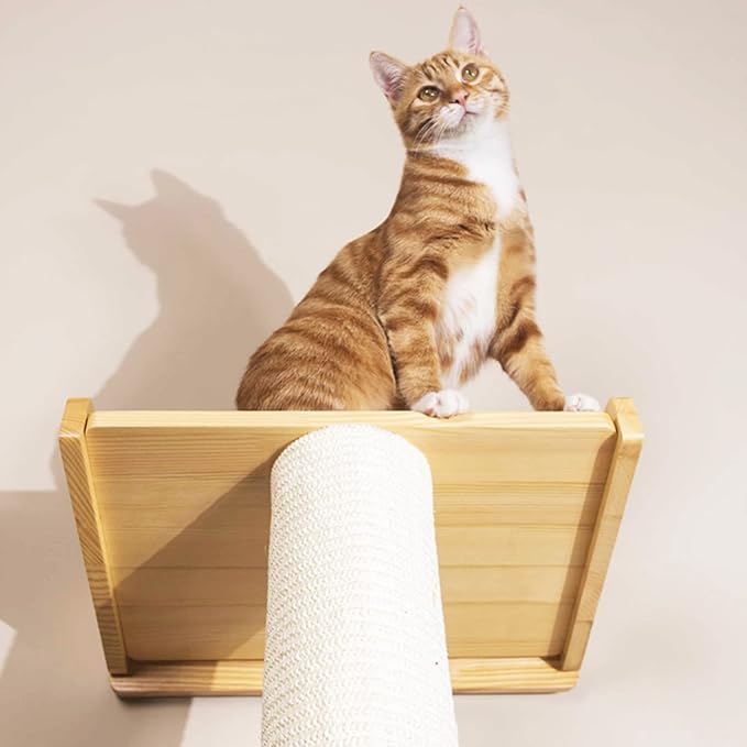 SHENGOCASE Modern 78.7“ Tall Leaning Cat Tree Tower Scratching Post Pillar - Image 2
