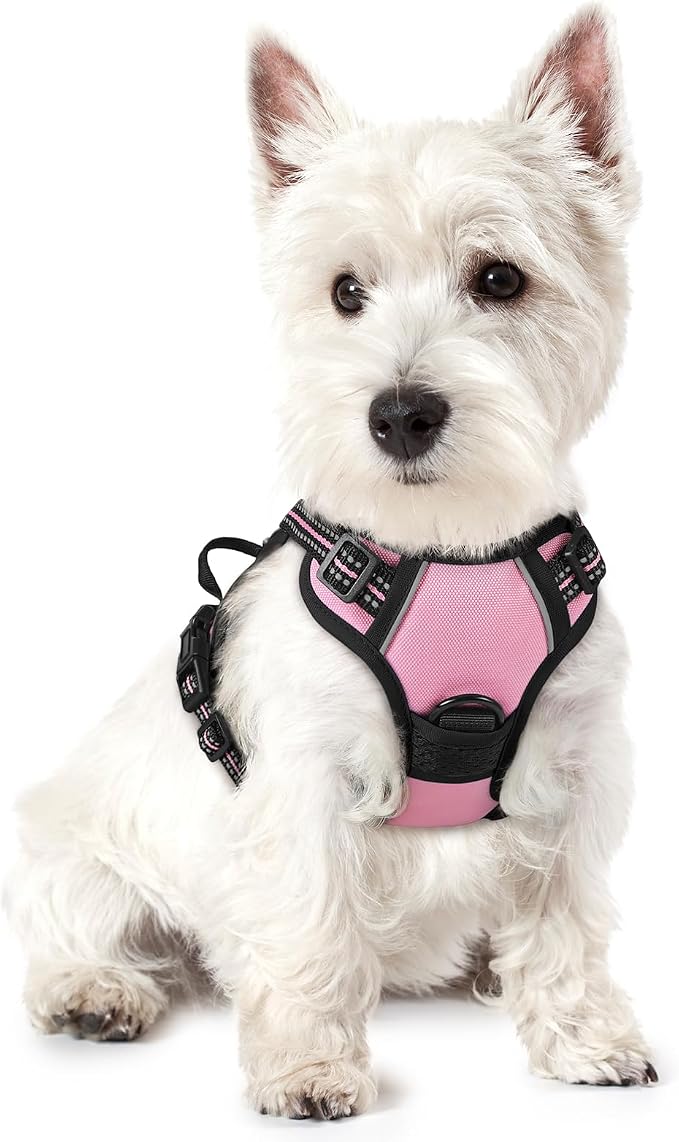rabbitgoo Dog Harness No Pull by rabbitgoo