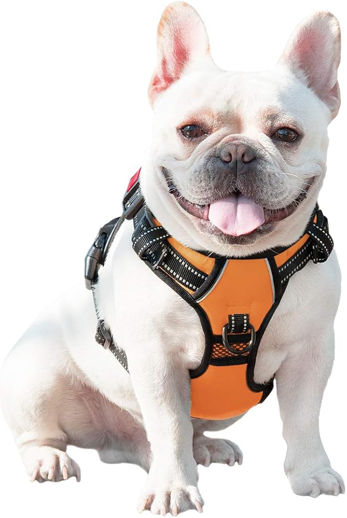 PHOEPET No Pull Dog Harnesses for Small Dogs Reflective Adjustable Front Clip - Image 7
