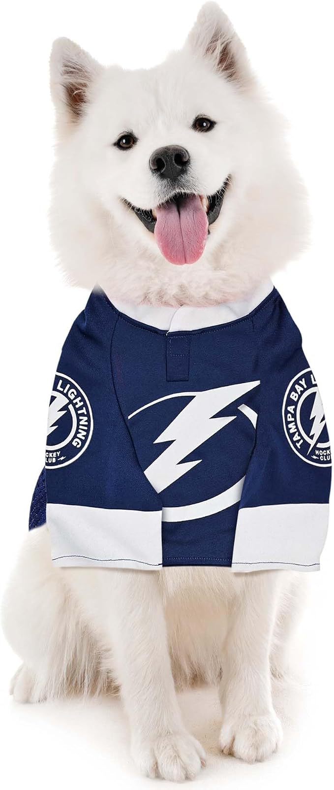 Pets First NHLPA Nikita Kucherov Mesh Jersey - Image 2