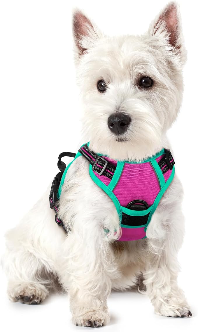 rabbitgoo Dog Harness No Pull by rabbitgoo