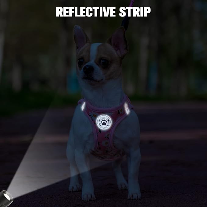 BEAUTYZOO Step in Dog Harness and Leash Set, Floral Pattern Reflective Dog - Image 7