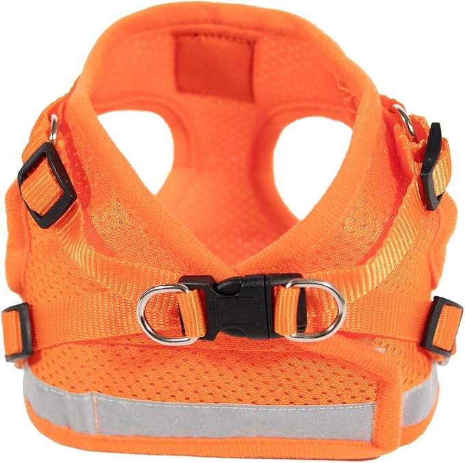Travel Cat Harness and Leash Set - Image 4