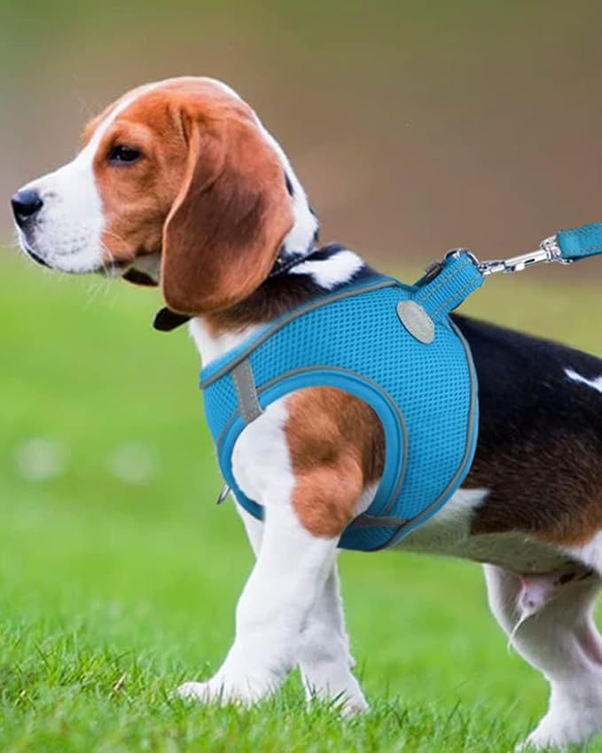 Joytale Small Dog Harness, Breathable Mesh Step-in Vest, Reflective Soft Padded - Image 2