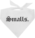 Smalls Matching 90's Hip Hop Dog Bandana by TeesTails