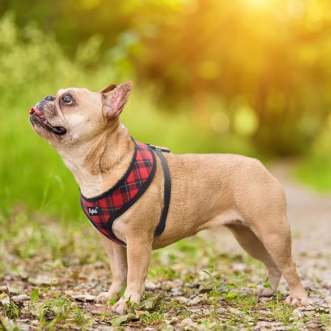 PUPTECK Soft Mesh Dog Harness and Leash Set Pet Puppy Cat Comfort Padded Vest - Image 6