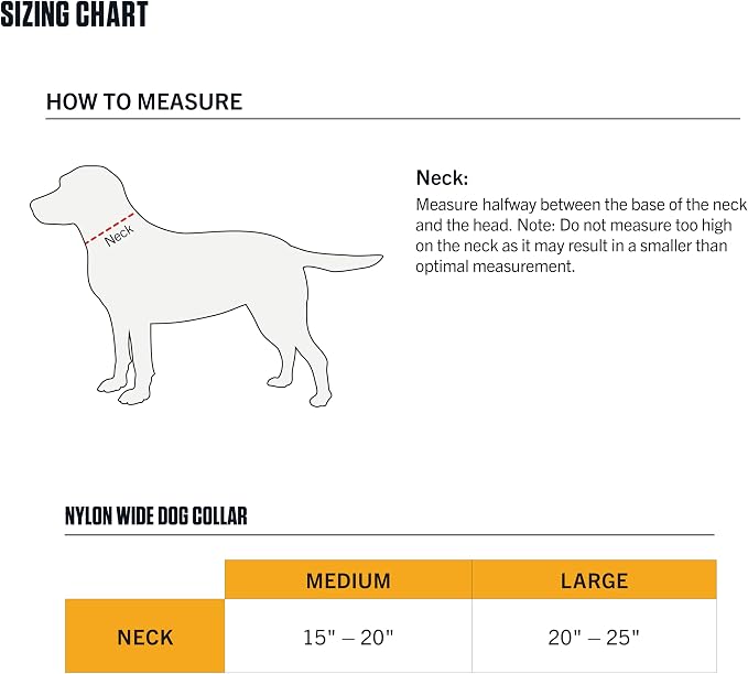 Carhartt Pet Fully Adjustable Wide Webbing Collar - Image 5