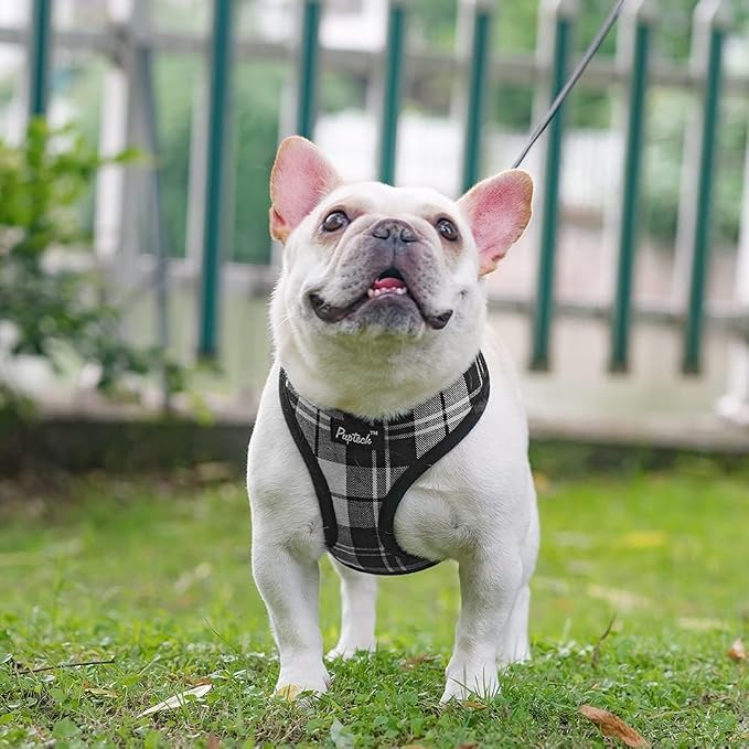 PUPTECK Soft Mesh Dog Harness and Leash Set Pet Puppy Cat Comfort Padded Vest - Image 6