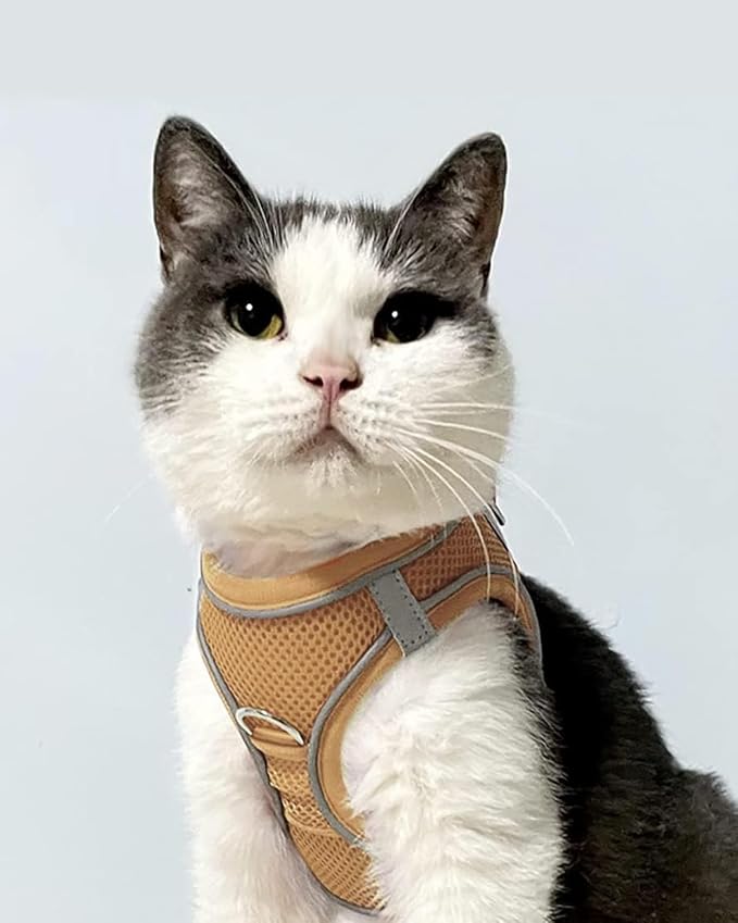 Joytale Small Dog Harness, Breathable Mesh Step-in Vest, Reflective Soft Padded - Image 2