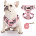 PUPTECK Soft Mesh Dog Harness and Leash Set Pet Puppy Cat Comfort Padded Vest by PUPTECK
